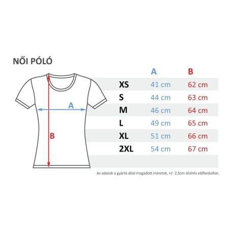egyedi feliratos polo dadus  szuperhos ajandek tshirt pedagógus nap balalgas búcsú