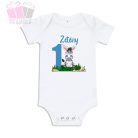 egyedi-neves-feliratos lufis ballons-zebra lepke pillangó-mintás-szülinapi-body-gyermek-póló-mese rajzfilm
