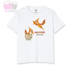 egyedi neves feliratos tesós sister body polo kismama terhes kisteso big brother sister szuletes little 