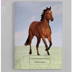 Barna ló mintás egyedi neves feliratos nylon papirfüzetborító