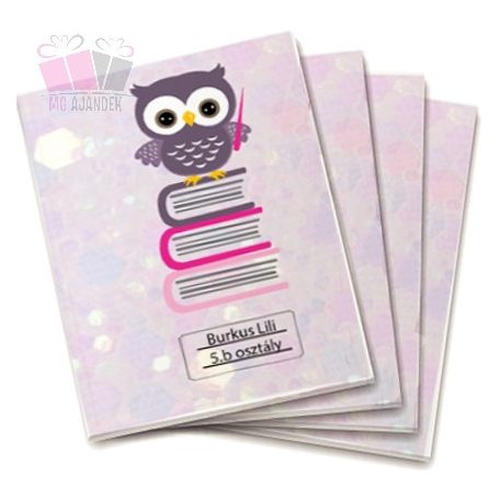 Bagoly könyveken egyedi neves tornazsák iskola füzetrboritó school sport cuki 