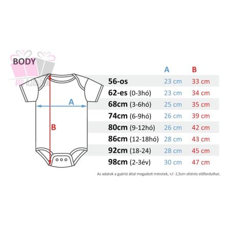 egyedi neves feliratos nagyteso kistesó leszek body póló tshirt little  body polo big brother hamarosan testvér 